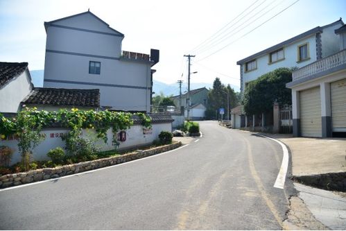 在寧波,鄉(xiāng)村 邂逅 藝術鳳凰網寧波