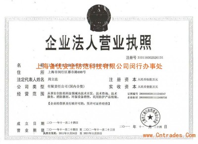 上海網(wǎng)絡(luò)技術(shù)服務(wù)營業(yè)執(zhí)照 申請(qǐng)要點(diǎn)與運(yùn)營指南